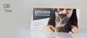 Fotogutschein Tierfotos, Katzen und Hunde Fotoshooting Hannover Gutschein 08